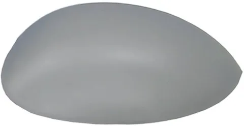 Coque rétroviseur droit pour CITROËN XSARA PICASSO phase 2, 2004-2010, Neuve à peindre