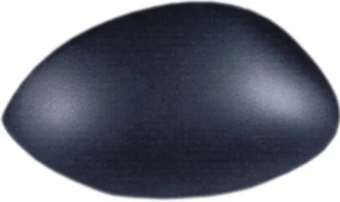Coque rétroviseur gauche pour CITROËN C3 I phase 2, 2005-2009, noire, Neuve