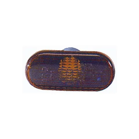 Feu clignotant répétiteur d'aile pour RENAULT MEGANE I phase 2, 1999-2002, côté droit ou gauche, orange, Neuf