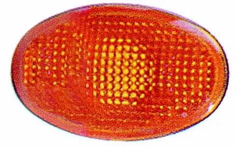 Feu clignotant répétiteur pour FORD TRANSIT Mk5, 1994-2000, gauche ou droit, orange, aile avant