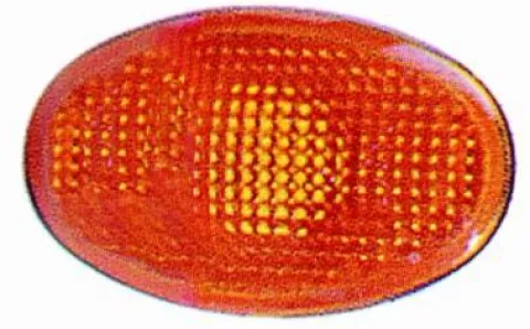 Phare optique latéral droit/gauche pour FORD FIESTA Mk4 phase 1 1996-1999, Mod. >1994, orange, Neuf