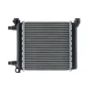 Radiateur de refroidissement moteur pour MINI COUNTRYMAN F60 2017-2020, OEM: 17117634565, Neuf